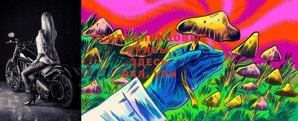 spice Новозыбков