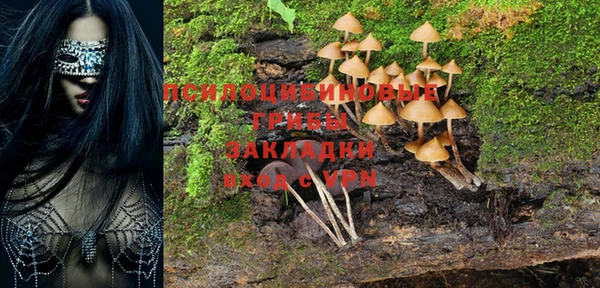 spice Новозыбков