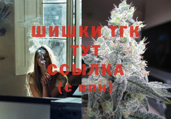 spice Новозыбков