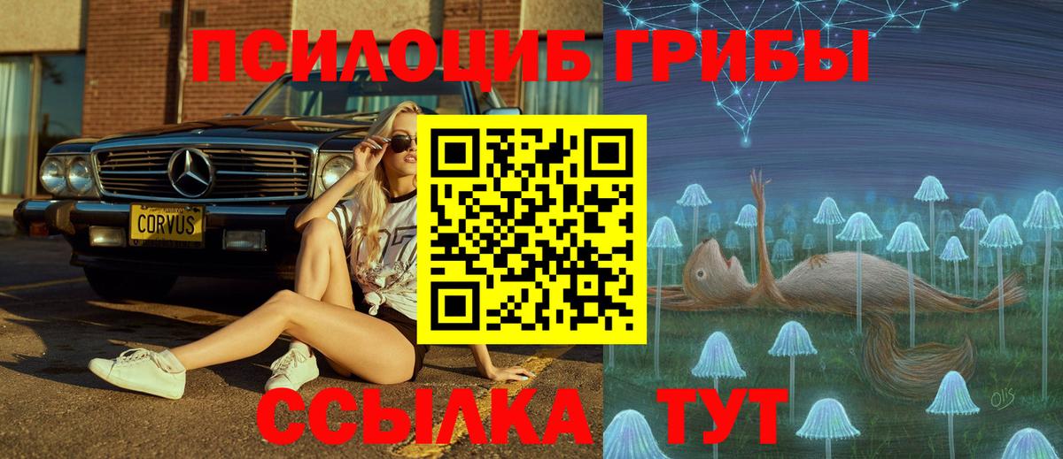 купить наркотики цена  Коряжма  Псилоцибиновые грибы MAGIC MUSHROOMS  Галлюциногенные грибы мицелий 