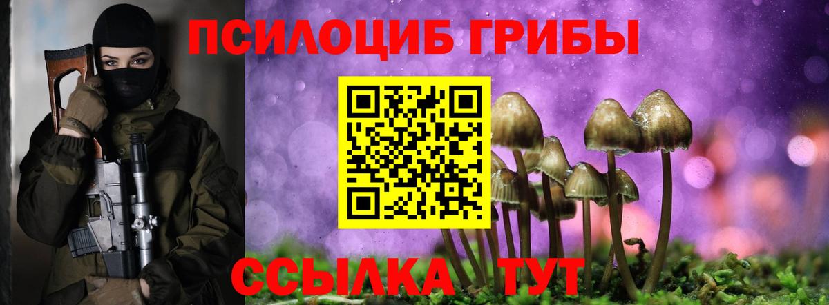 Галлюциногенные грибы Psilocybine cubensis  Вход с VPN  Коряжма 